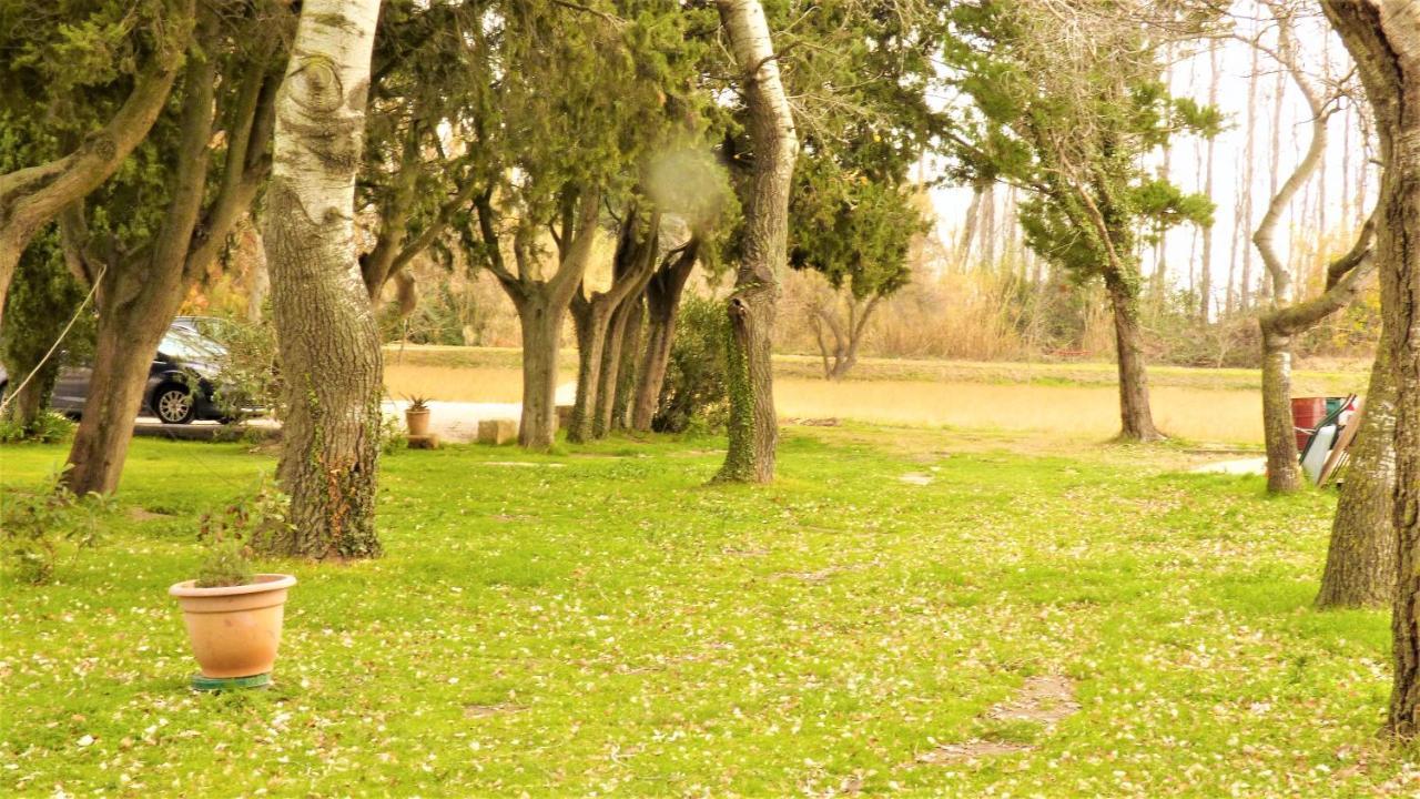 Mas Des Cypres, Clim - Jardin En Camargue Holiday home